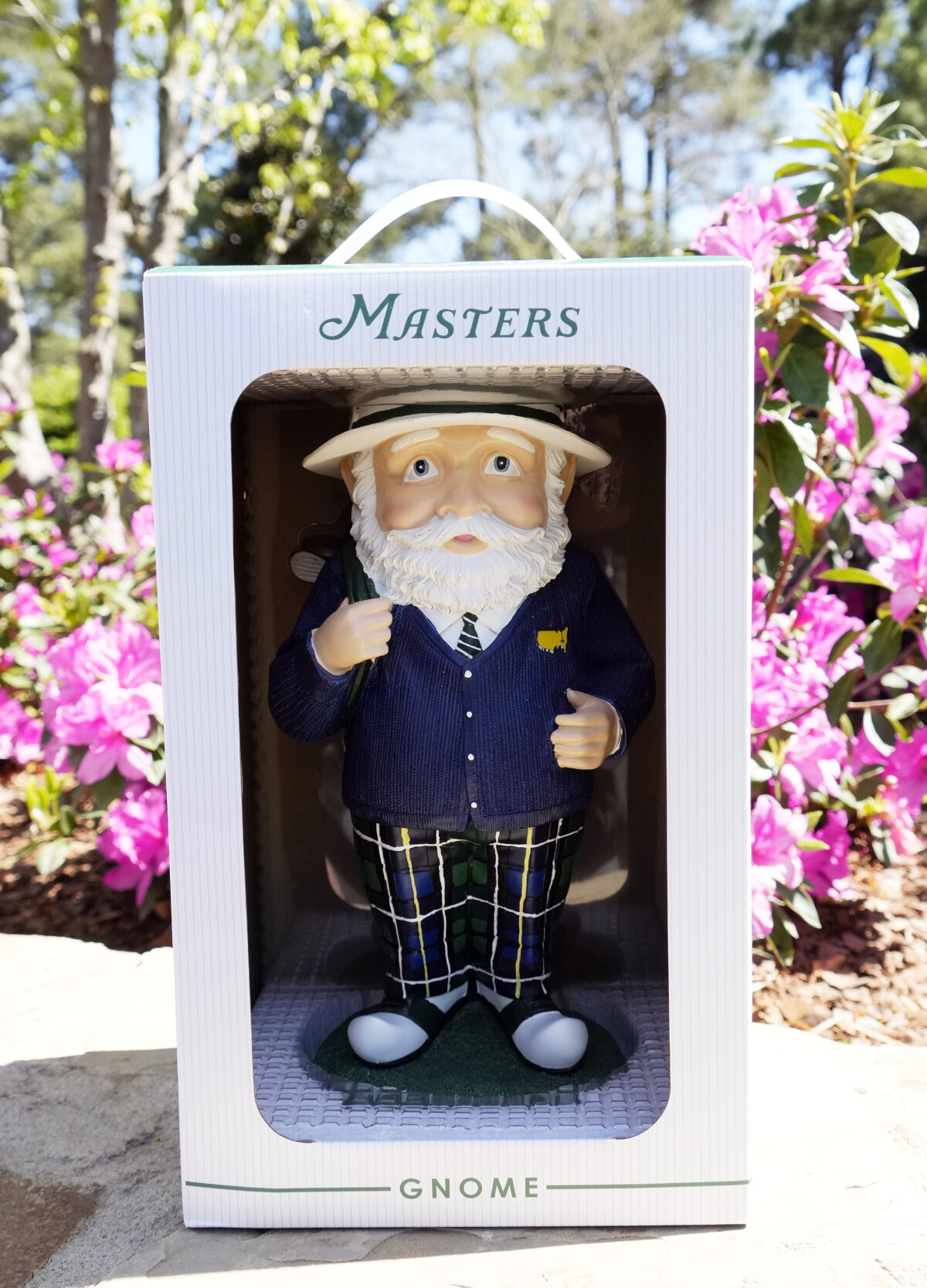Masters garden gnome is a hot item once again, with line stretching to practice area
