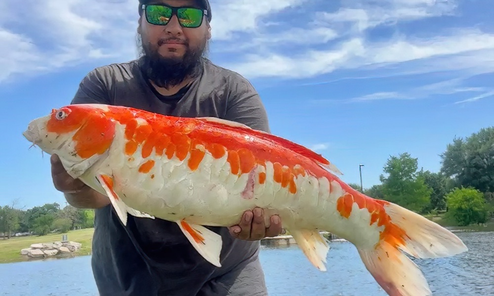 Bass fisherman reels in colorful surprise at Texas pond
