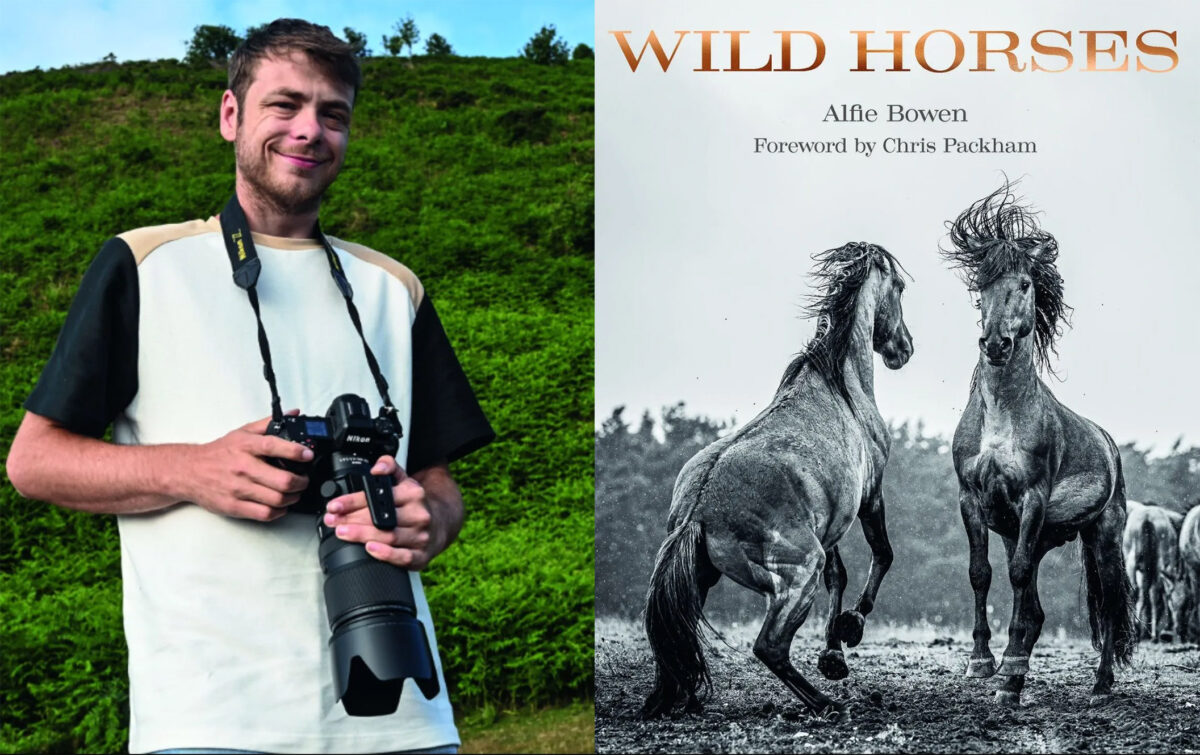 Stunning new book invites you to witness the magic of wild horses