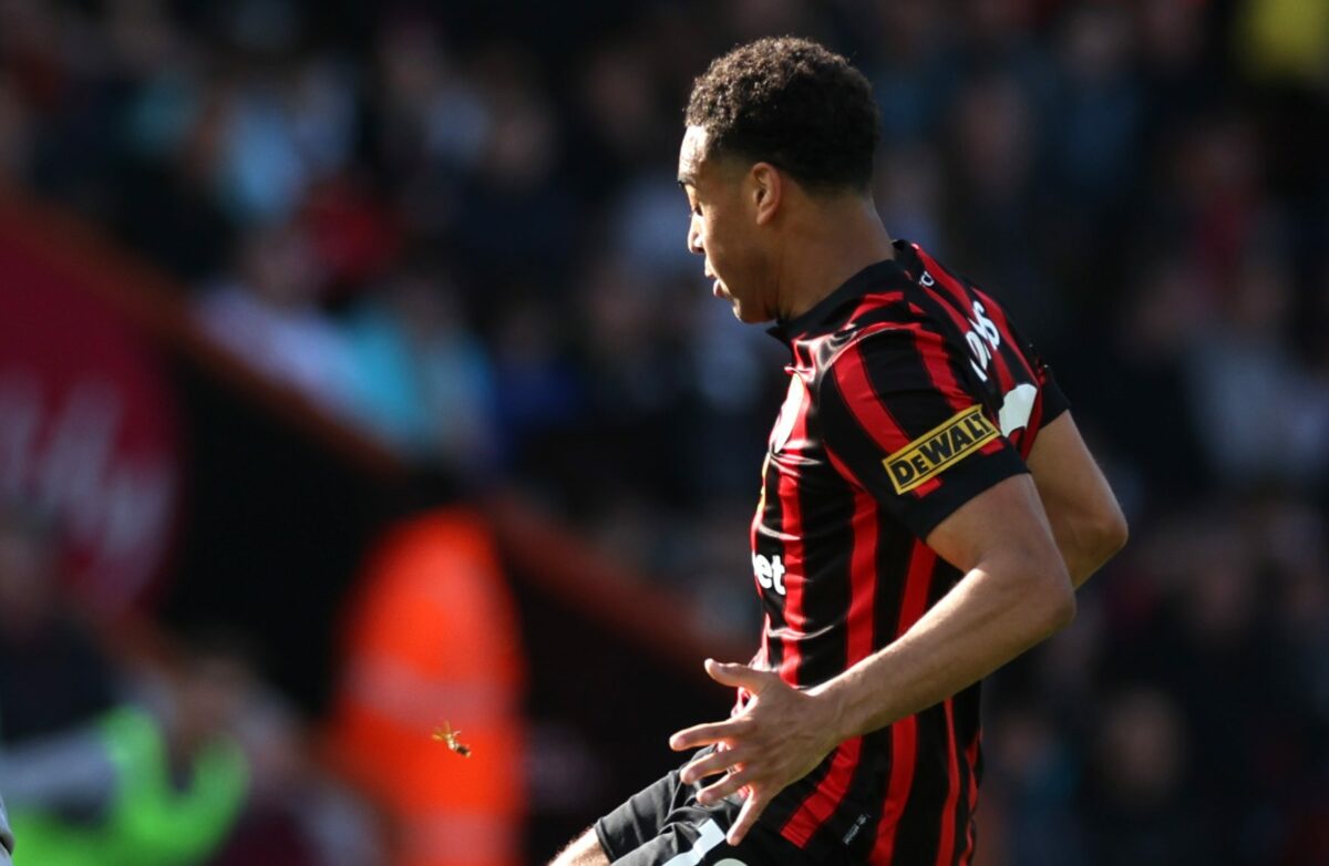 USMNT midfielder Adams will return to Bournemouth squad following back injury