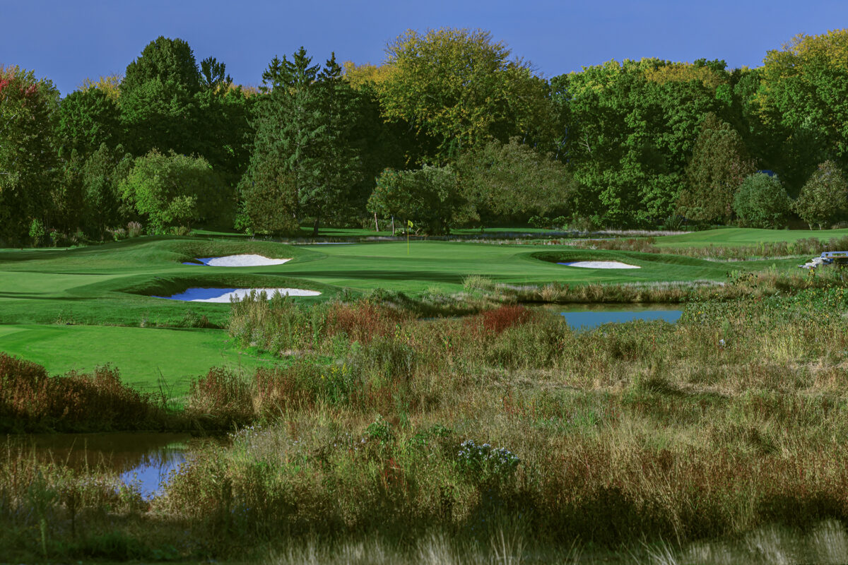 What happens when you allow a scramble-golf duffer onto a PGA Tour course?