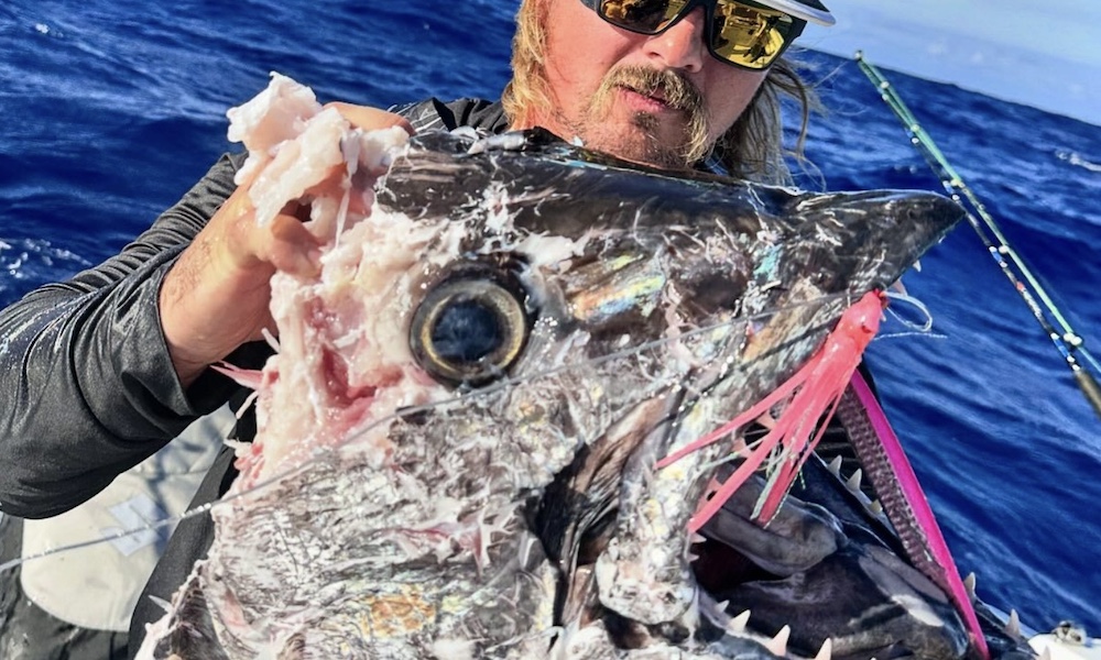 ‘Tax man’ comes calling for angler battling giant tuna