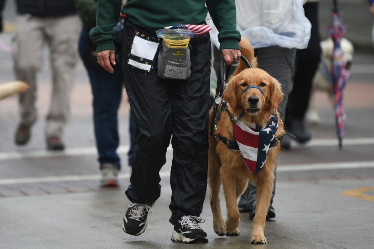 Denver Broncos Foundation to sponsor training of service dog