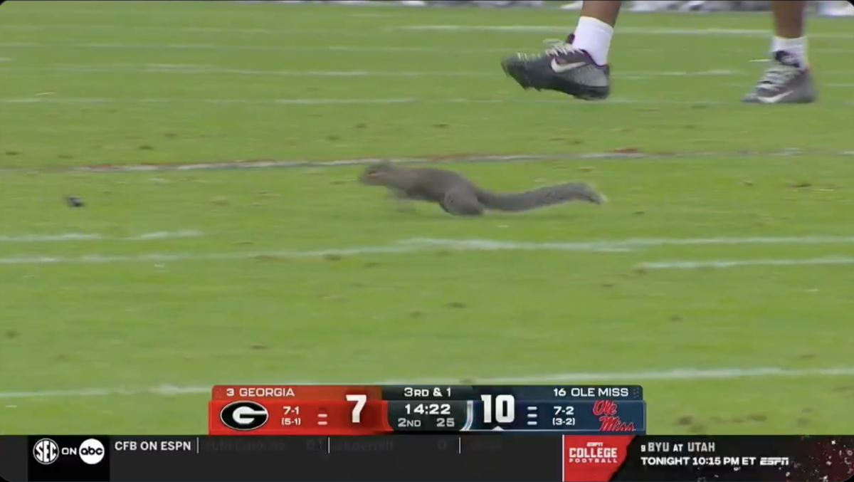 Ole Miss officially has a squirrel problem after yet another game delay