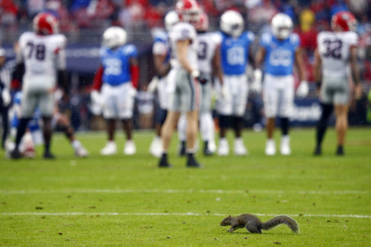 Best photos from Georgia’s rainy loss at Ole Miss