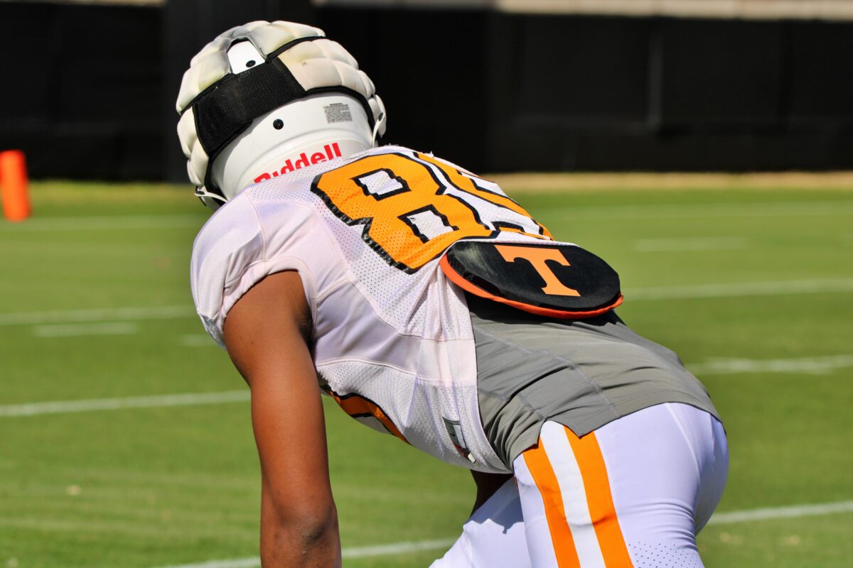 Tennessee redshirt freshman wide receiver ‘officially in transfer portal’