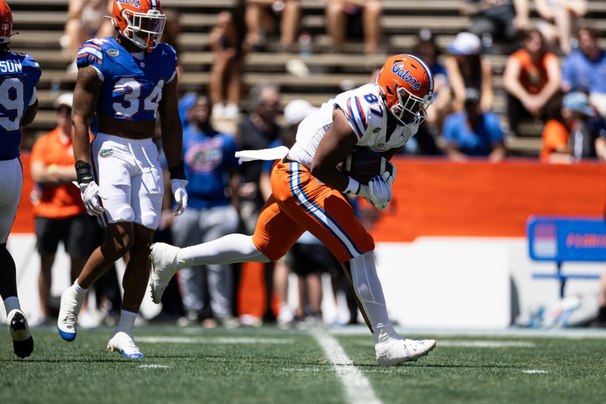 Florida football tight end to enter NCAA transfer portal