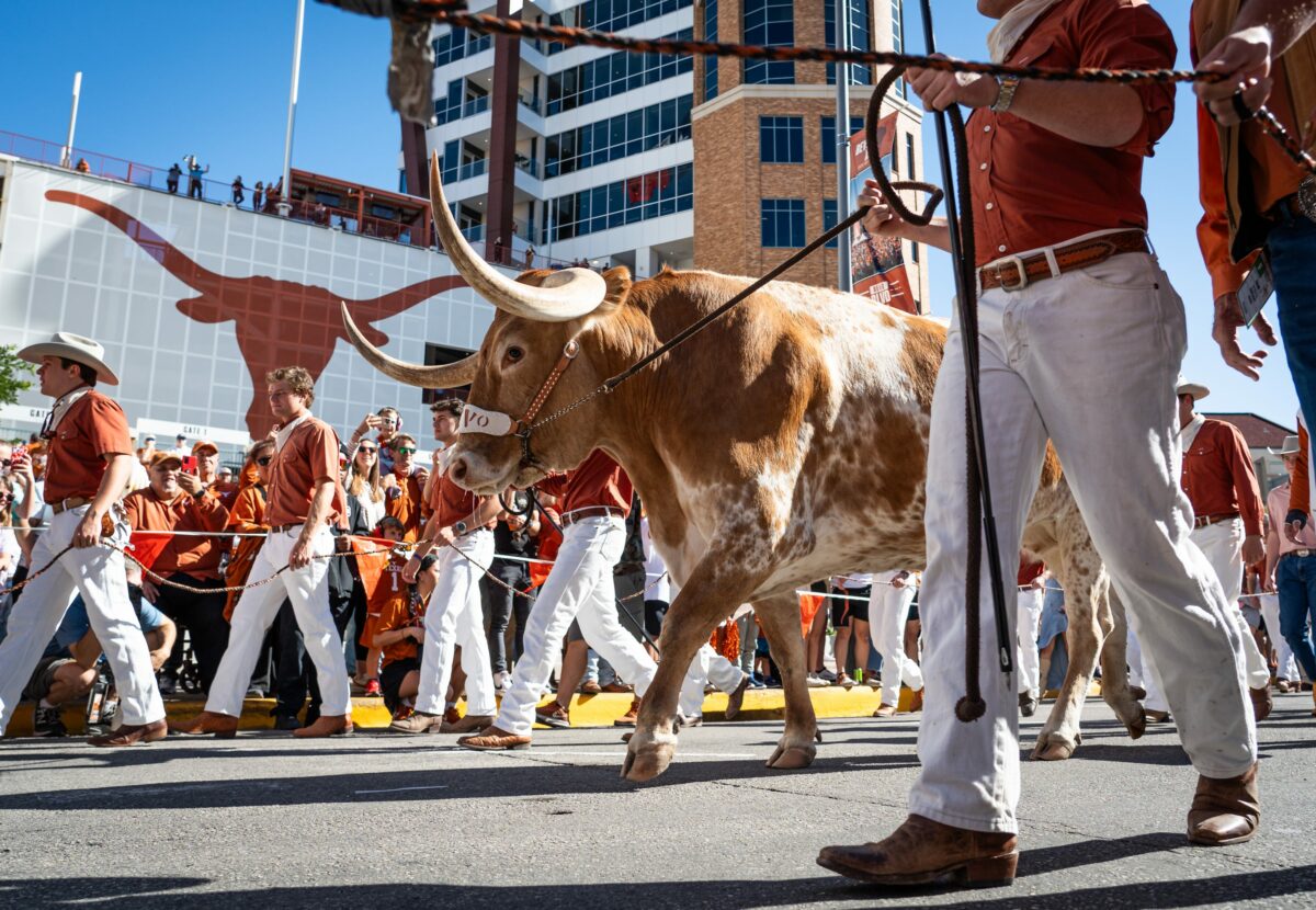 Texas students, fans start petition to SEC Commissioner Greg Sankey over Bevo ban