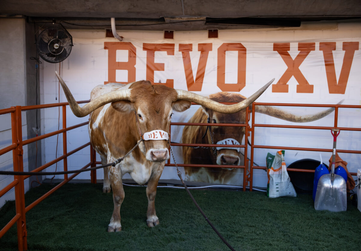 Banned again! Bevo barred from CFP Peach Bowl matchup vs. Arizona State