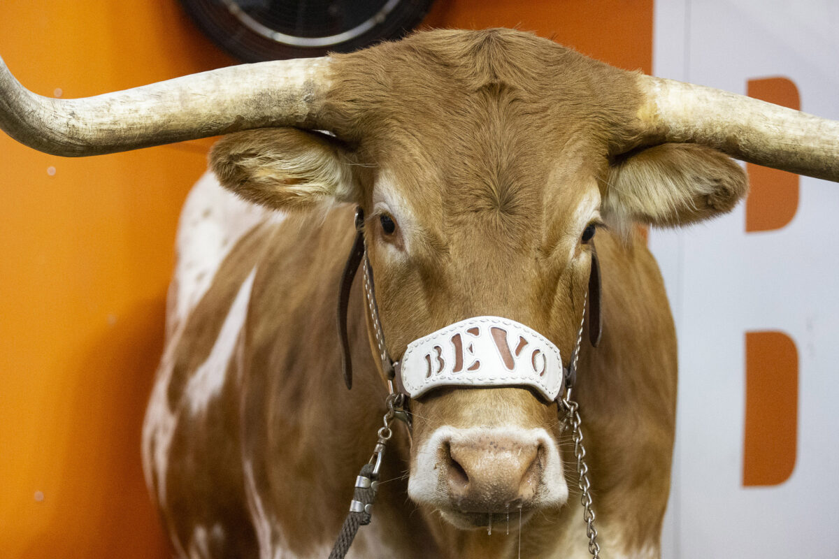 Bevo unwelcome at Mercedes-Benz Stadium for Peach Bowl