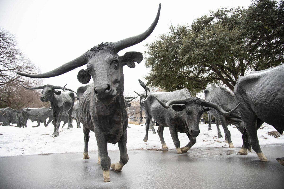 Will snow storm give Texas an advantage over Ohio State in the Cotton Bowl?